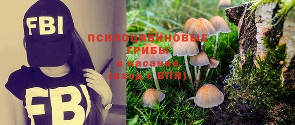 синтетический гашиш Арсеньев