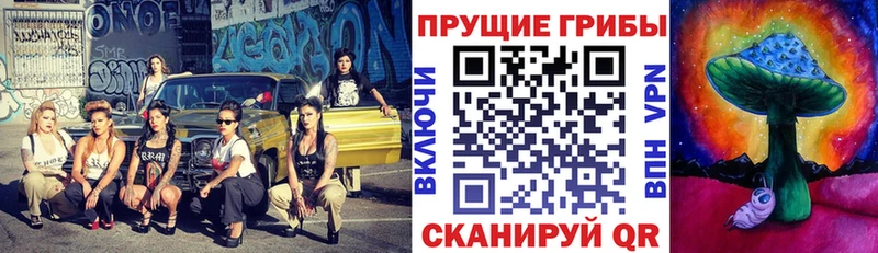 Псилоцибиновые грибы GOLDEN TEACHER Боровск