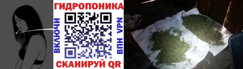 Канабис AK-47  hydra онион  Боровск 